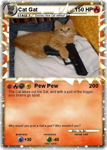 Pokemon Cat Gat