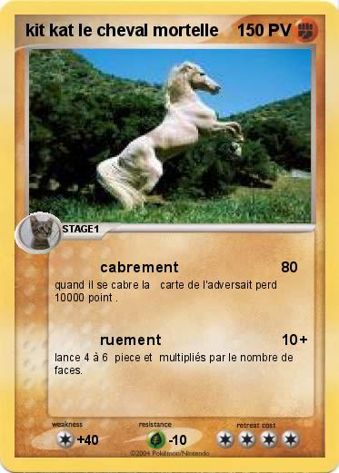 Pokemon kit kat le cheval mortelle 