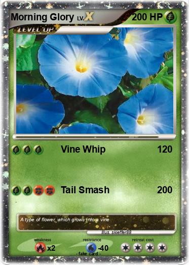 Pokemon Morning Glory
