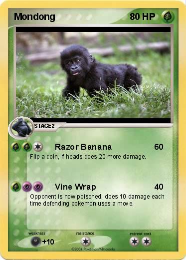Pokemon Mondong