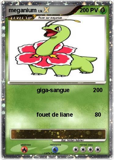 Pokemon meganium