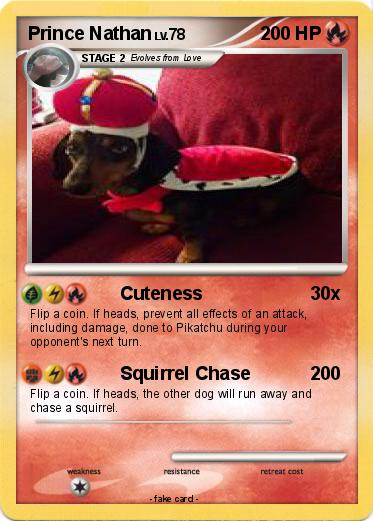 Pokemon Prince Nathan