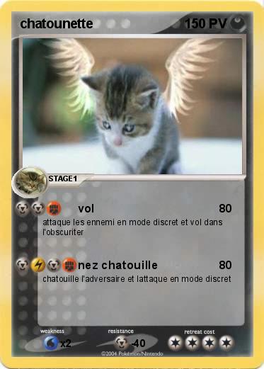 Pokemon chatounette