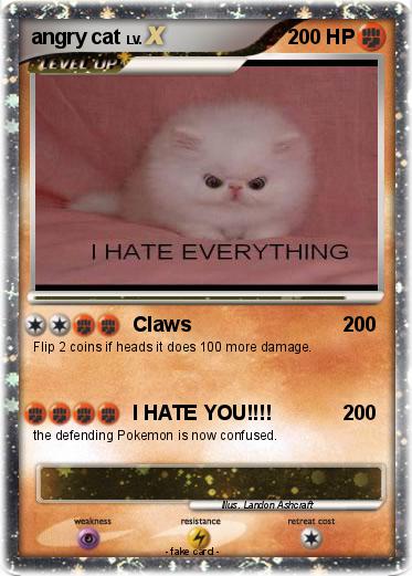 Pokemon angry cat