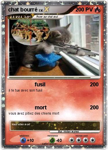 Pokemon chat bourré