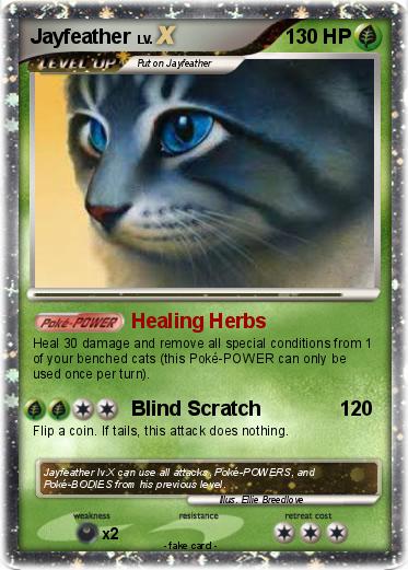 Pokemon Jayfeather