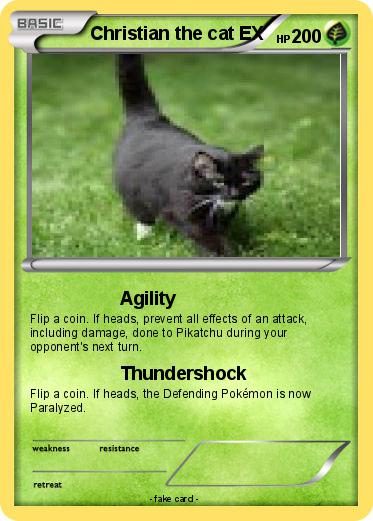 Pokemon Christian the cat EX