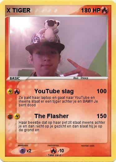 Pokemon X TIGER
