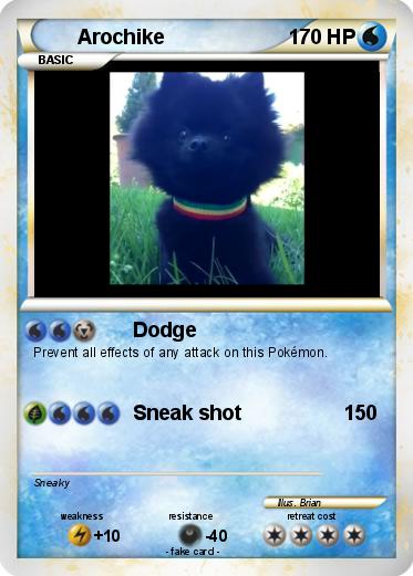 Pokemon Arochike