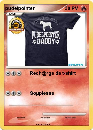 Pokemon pudelpointer