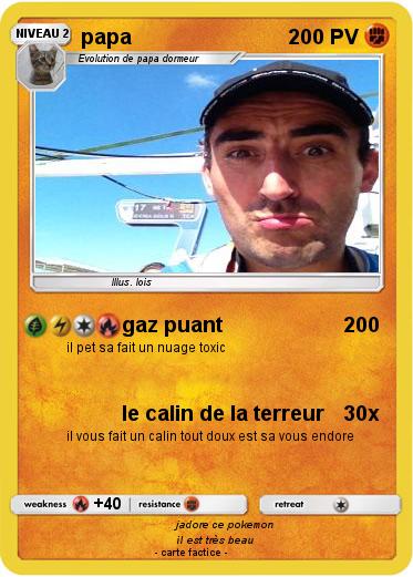 Pokemon papa