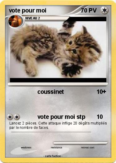 Pokemon vote pour moi