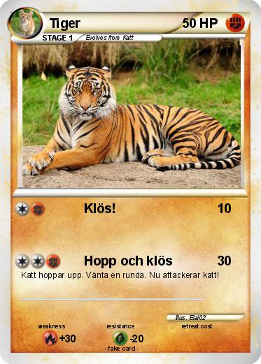 Pokemon Tiger