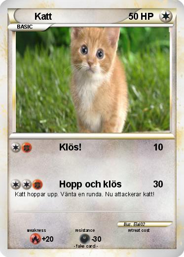 Pokemon Katt