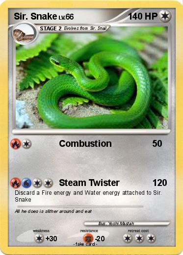 Pokemon Sir. Snake