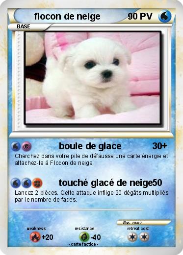 Pokemon flocon de neige