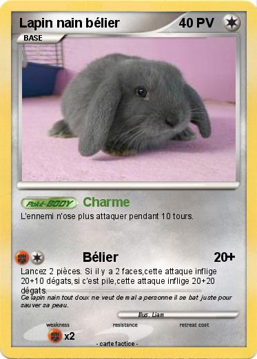 Pokemon Lapin nain bélier