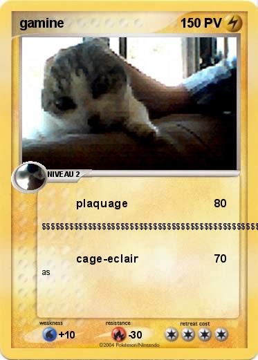 Pokemon gamine 