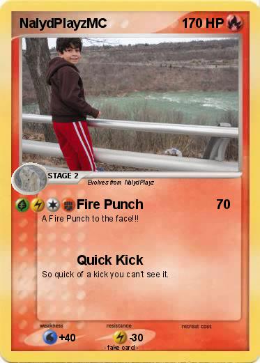 Pokemon NalydPlayzMC