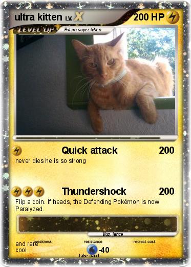Pokemon ultra kitten