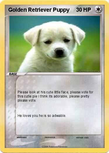 Pokemon Golden Retriever Puppy