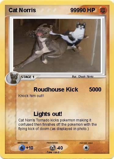 Pokemon Cat Norris                      999