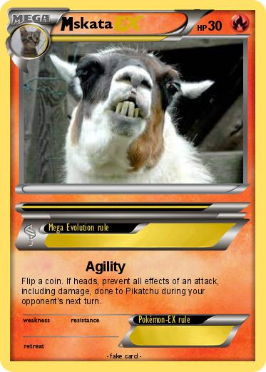 Pokemon skata
