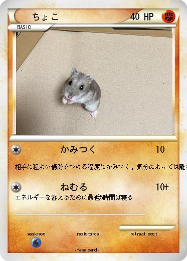 Pokemon ちょこ