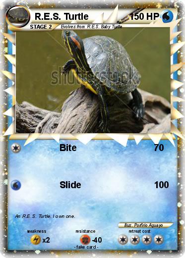 Pokemon R.E.S. Turtle