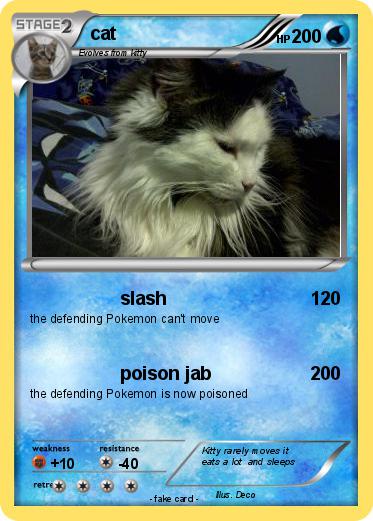 Pokemon cat