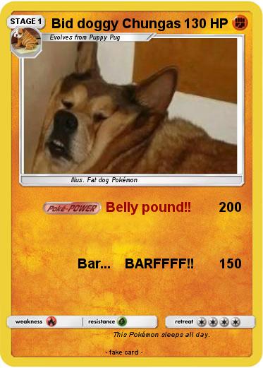 Pokemon Bid doggy Chungas