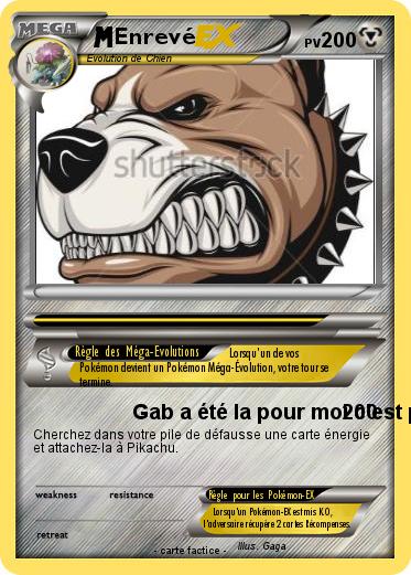 Pokemon Enrevé