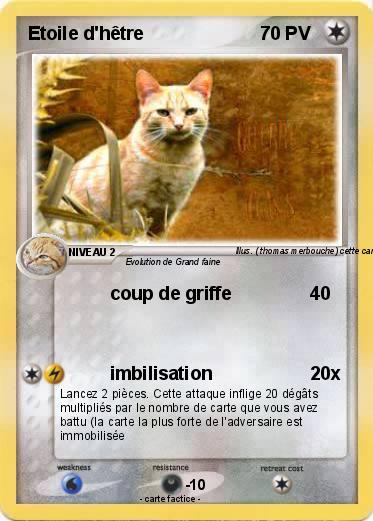Pokemon Etoile d'hêtre