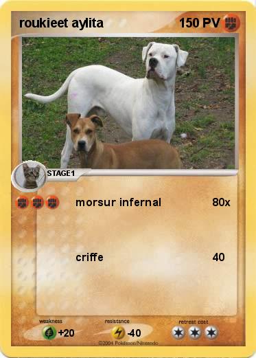 Pokemon roukieet aylita