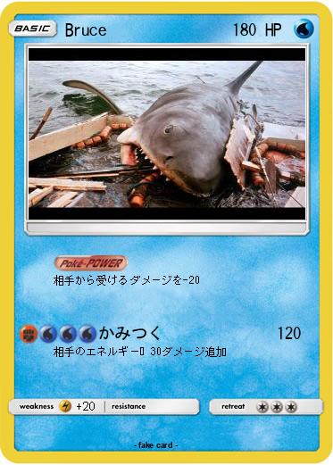 Pokemon Bruce