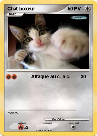 Pokemon Chat boxeur