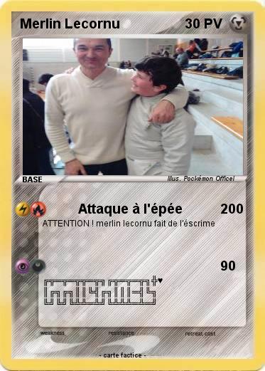 Pokemon Merlin Lecornu