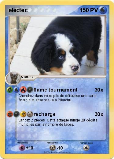 Pokemon electec