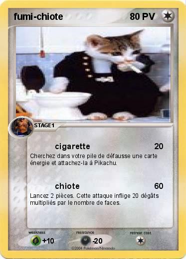 Pokemon fumi-chiote