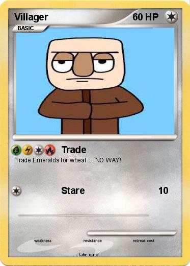Pokemon Villager