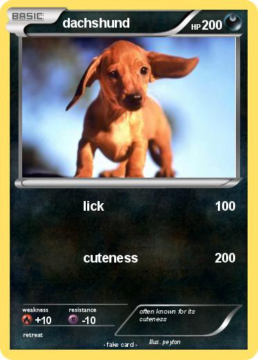 Pokemon dachshund