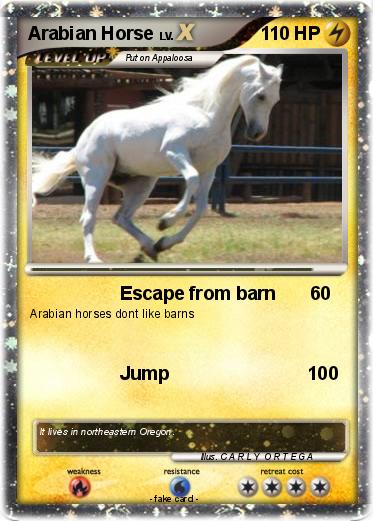 Pokemon Arabian Horse