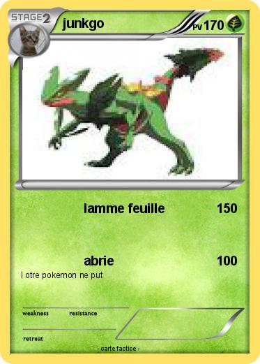 Pokemon junkgo
