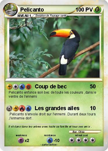 Pokemon Pelicanto