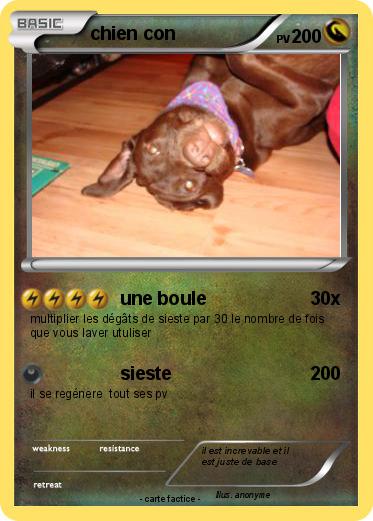 Pokemon chien con