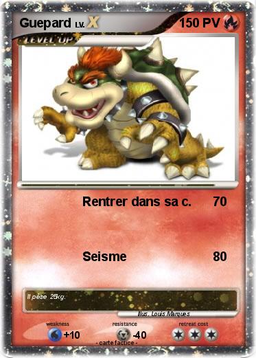 Pokemon Guepard