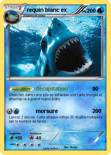 Pokemon requin blanc ex