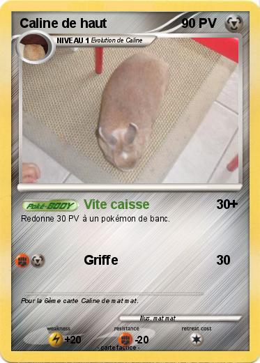 Pokemon Caline de haut
