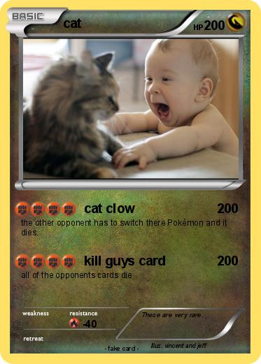 Pokemon cat