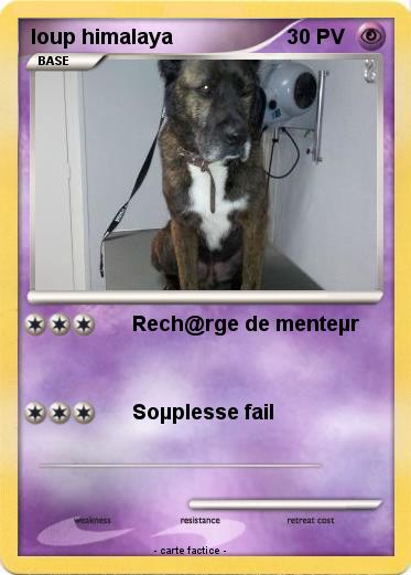 Pokemon loup himalaya